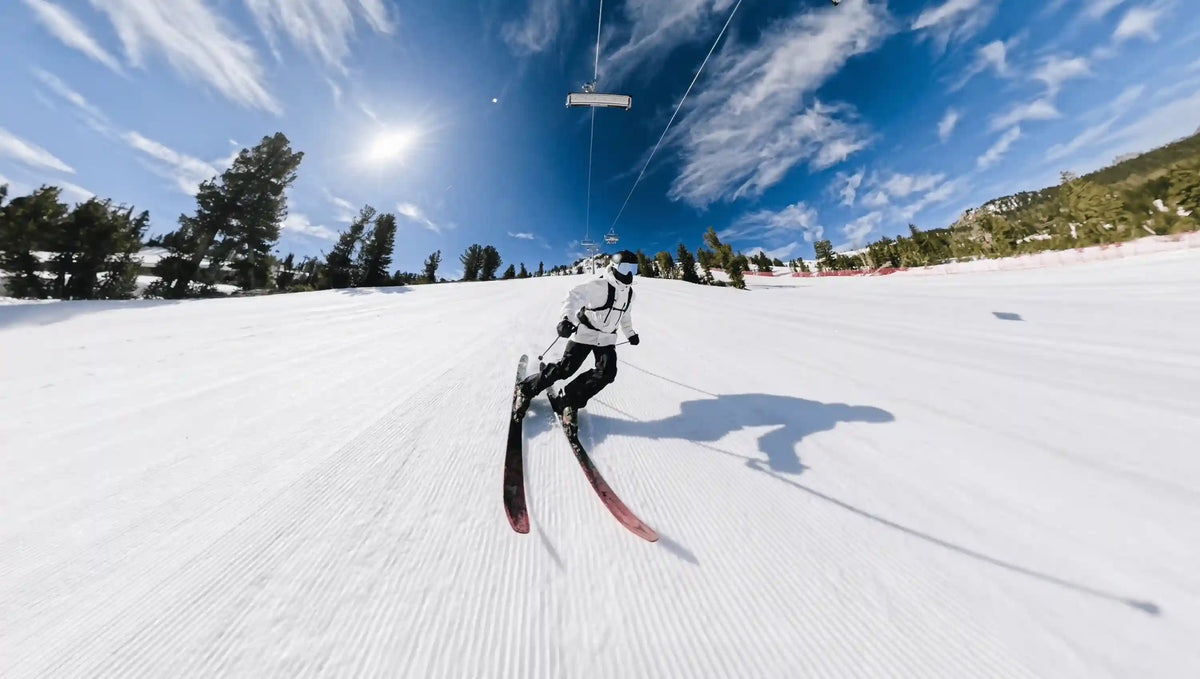 Ski Pole Mount for Extension Poles