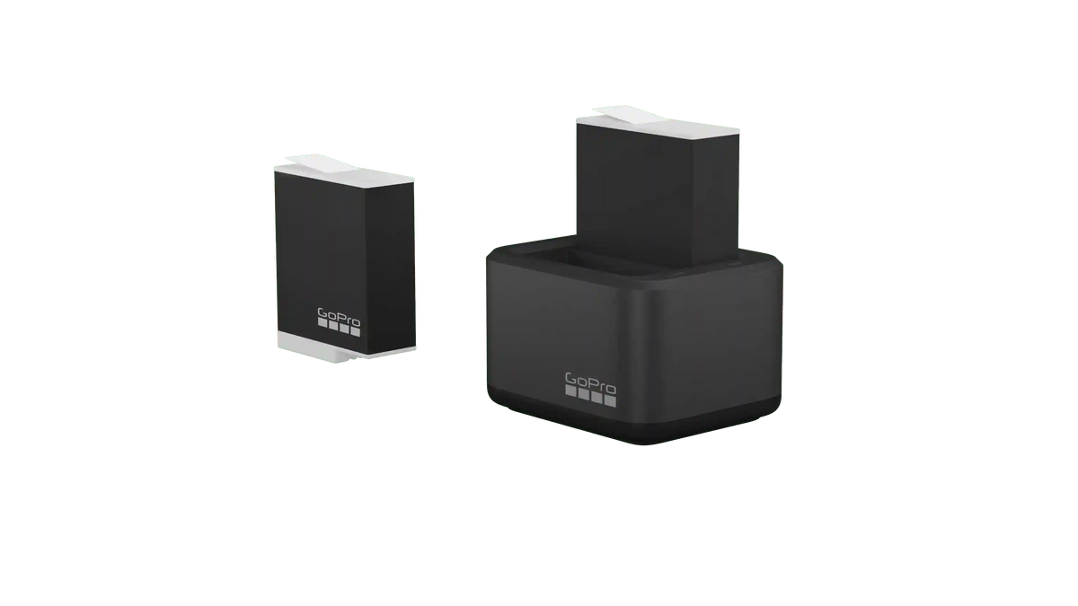Dual Battery Charger + Enduro Batteries